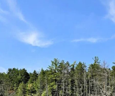 Holland Lake State Forest Campground