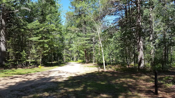 Holland Lake State Forest Campground Picture 8