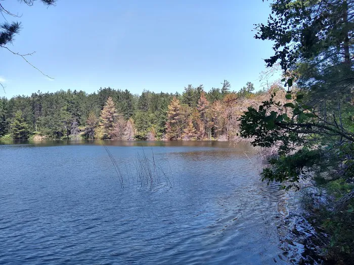 Holland Lake State Forest Campground Picture 10
