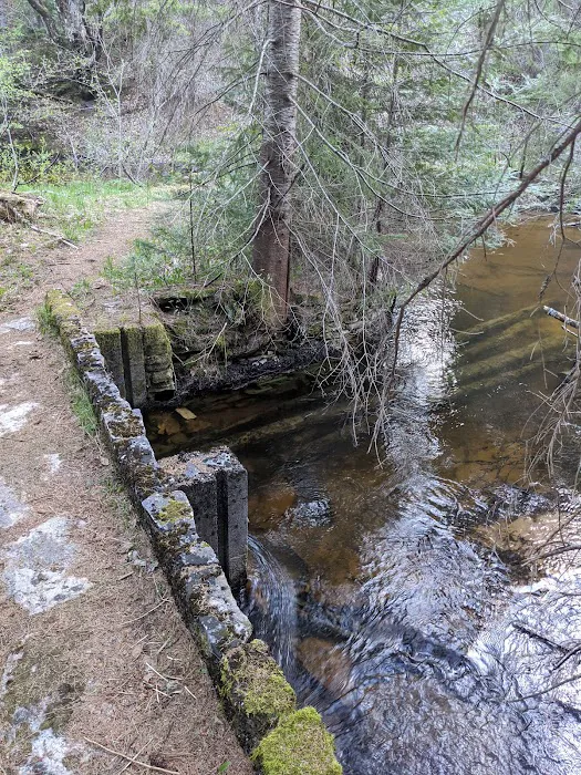 East Branch of the Fox River State Forest Campground Picture 10