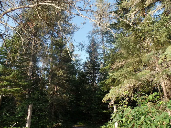 East Branch of the Fox River State Forest Campground Picture 4