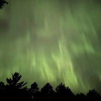 Mead Creek State Forest Campground ico