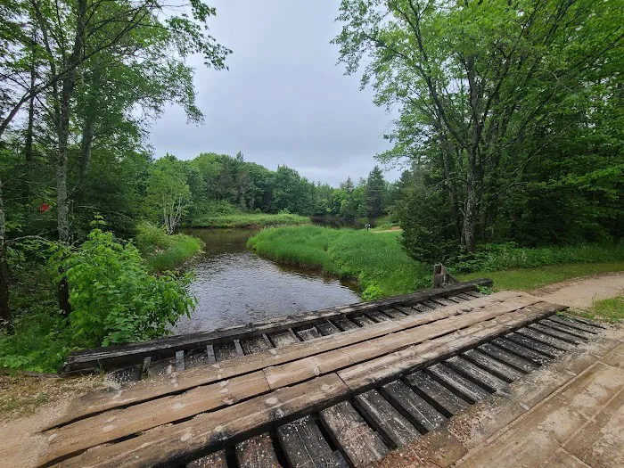 Mead Creek State Forest Campground Picture 5