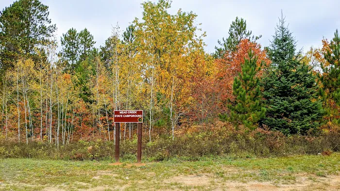Mead Creek State Forest Campground Picture 9