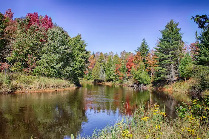 Mead Creek State Forest Campground Picture 6