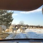 Fountain Plaza Mobile Home & RV Park