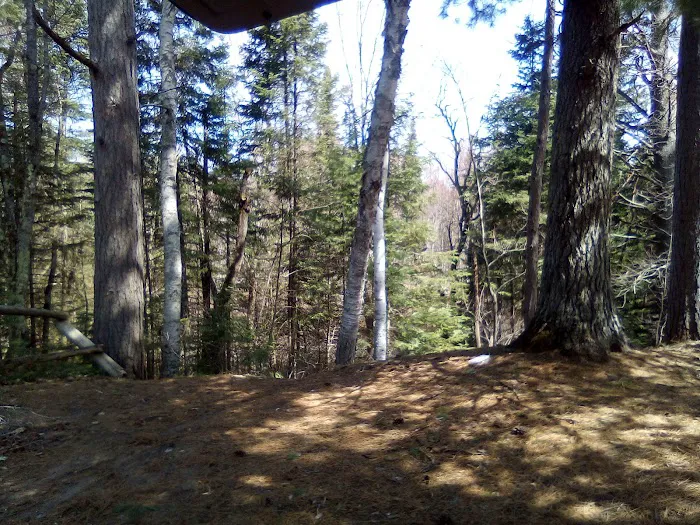 Fox River State Forest Campground Picture 2