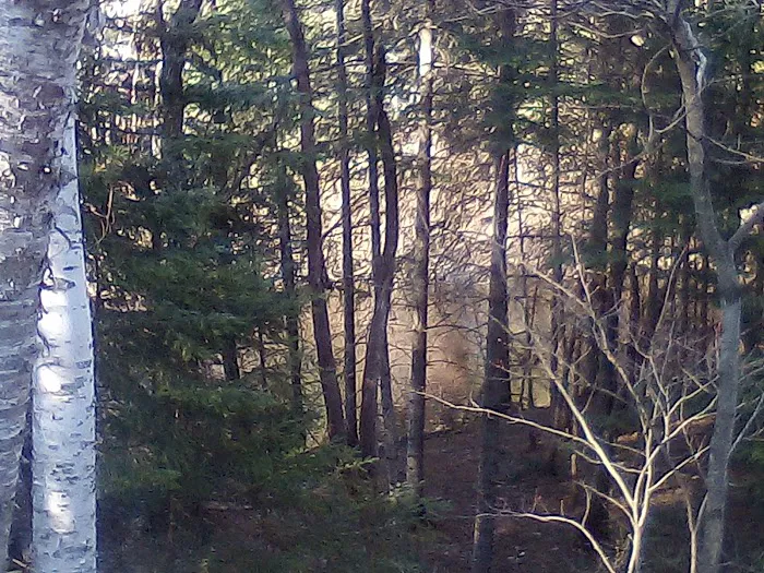 Fox River State Forest Campground Picture 1