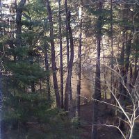 Fox River State Forest Campground ico