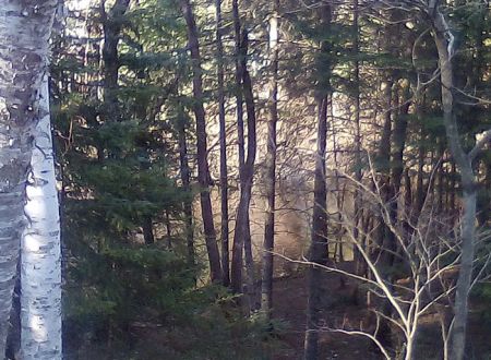 Fox River State Forest Campground