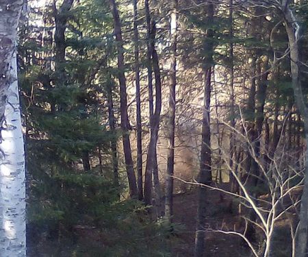Fox River State Forest Campground