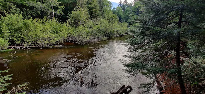 Fox River State Forest Campground Picture 9