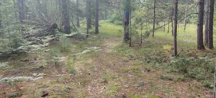 Fox River State Forest Campground Picture 10