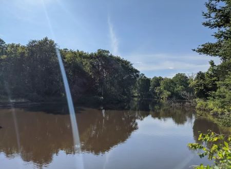Merwin Creek Campground