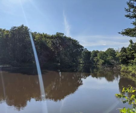 Merwin Creek Campground