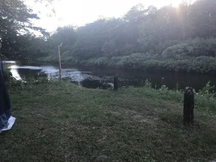 Merwin Creek Campground Picture 6