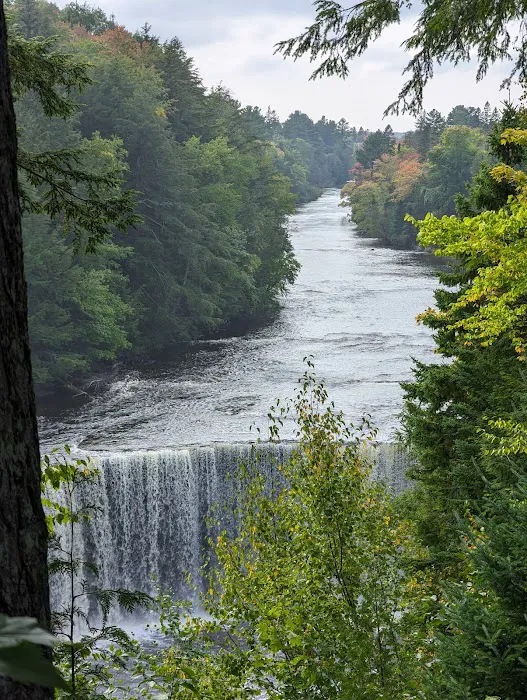 Tahquamenon Falls State Park - Lower Falls Portage Campground Picture 6