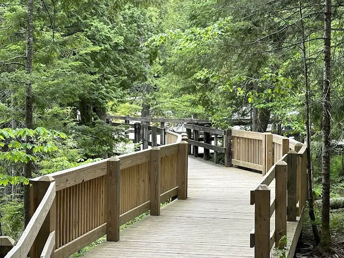 Tahquamenon Falls State Park - Lower Falls Portage Campground Picture 8