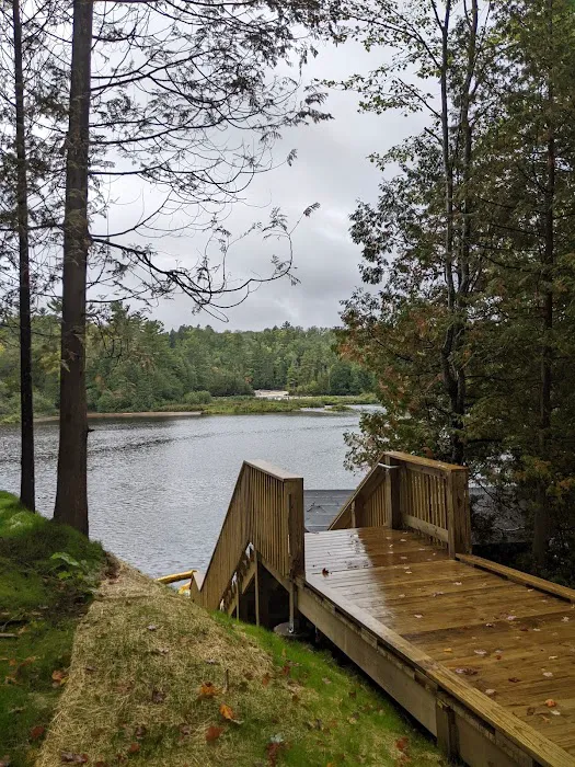 Tahquamenon State Park - Lower Falls Hemlock Picture 4
