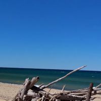 Shivering Timbers Family Campground ico