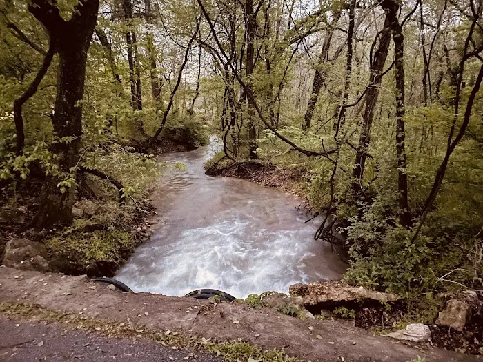 Bella Vista RV Park Picture 4