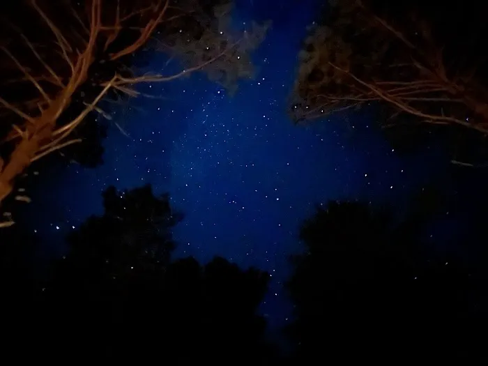 Pike Lake State Forest Campground Picture 3