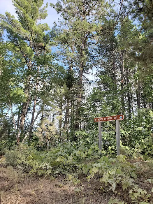Culhane Lake State Forest Campground Picture 2
