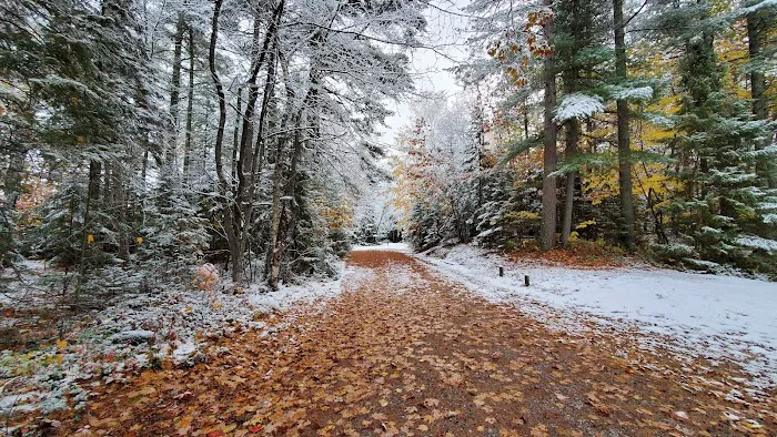 Bodi Lake State Forest Campground Picture 9
