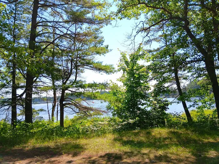 Bodi Lake State Forest Campground Picture 7