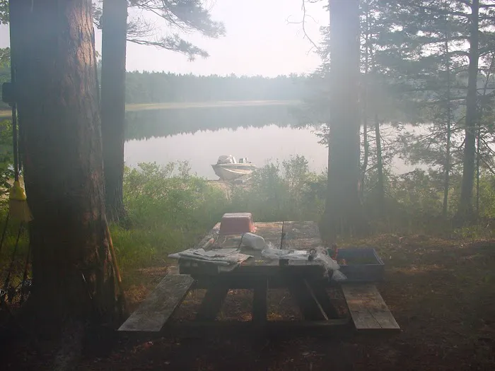 Bodi Lake State Forest Campground Picture 2