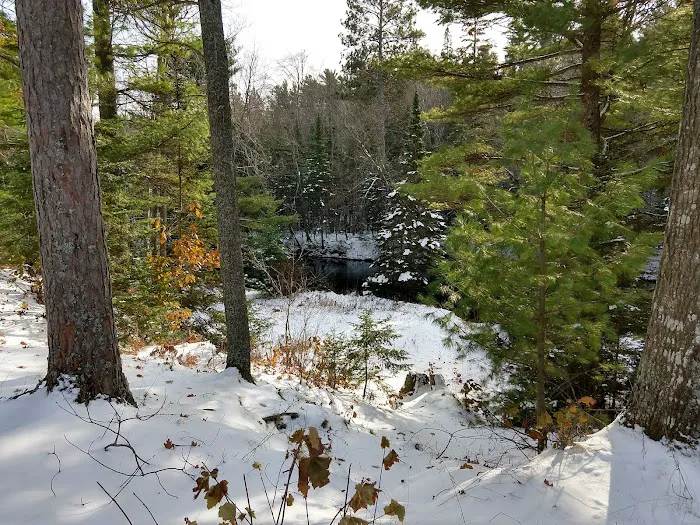 Reed & Green Campground Picture 4