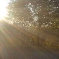 LakeView Overlook Arkansas ico