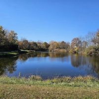 Gamber Cove Campground ico