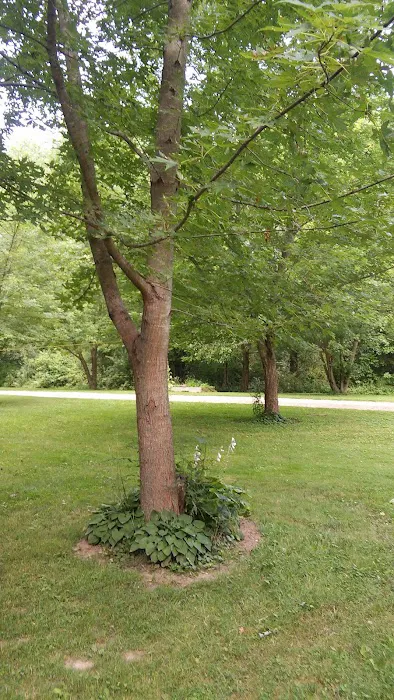 Whispering Oaks Campground Picture 4