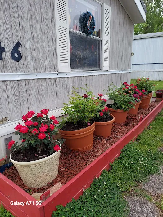 Cameo Mobile Home Park Picture 2