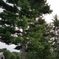 Woodland Hills Camping & Recreation LLC ico