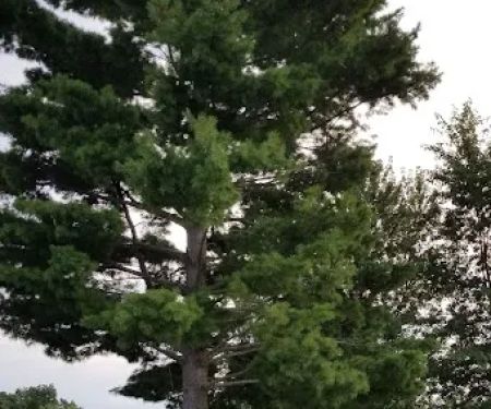 Woodland Hills Camping & Recreation LLC
