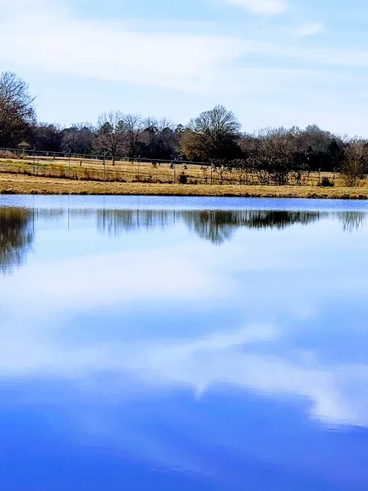 Fort Chaffee RV Park Picture 3