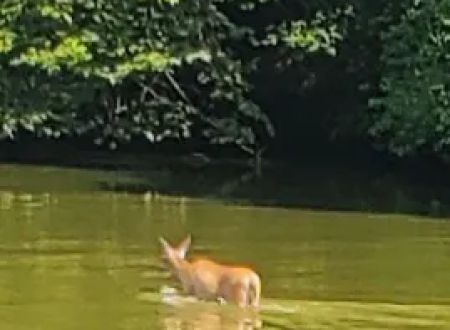 Canton Lake Campground