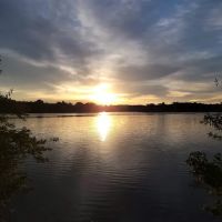White Oak Primative Camp ico