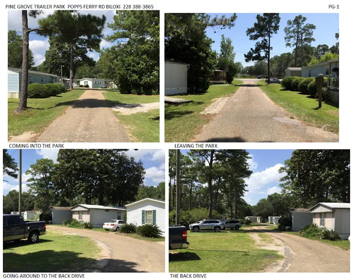 Pine Grove Trailer Park Picture 3