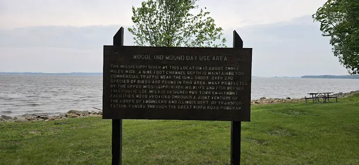 Thomson Causeway Recreation Area Picture 10