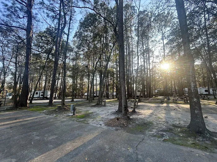 Peaceful Pines RV Park Picture 5