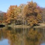 Timber Lake Resort and Campground