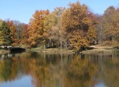 Timber Lake Resort and Campground