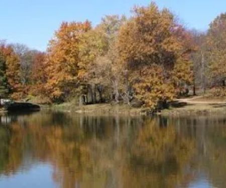 Timber Lake Resort and Campground