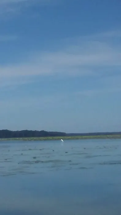 Fin and Feather Campground Picture 4