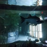 Rock Creek Marina & Campground ico