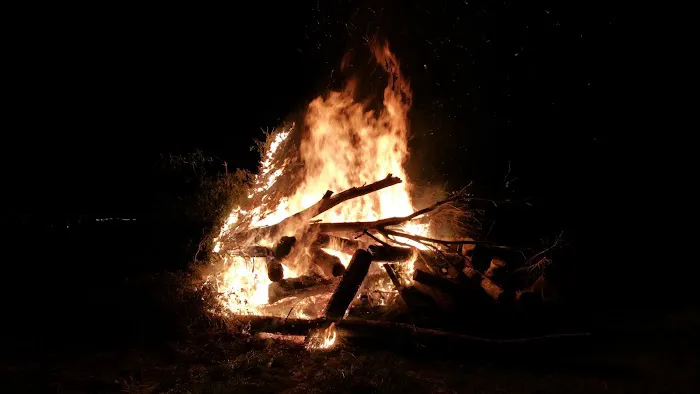 Lake Carroll Campground Picture 5