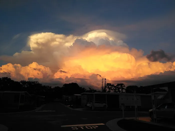 Doral Village Picture 2